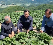 정황근 농림축산식품부 장관 강릉 안반데기 방문