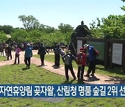 교래자연휴양림 곶자왈, 산림청 명품 숲길 2위 선정