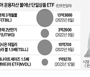 몰빵형 vs 위험분산형…ETF 투자 양극화