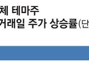 이번엔 초전도체 테마주 광풍 … 거래량 176배 폭발