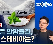 [라이브] 제로 설탕의 진실 혹은 거짓?! 제로 탄산, 1일 권장 섭취량만 지키면 괜찮을까? (ft. 조동찬 기자)