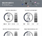 “이래서 배짱 장사?”…가격 인상 유력한 샤넬, 메타베이 명품 선호도 1위