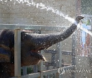 [연합뉴스 이 시각 헤드라인] - 14:30