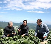 정황근 장관, 강원 고랭지 배추 산지 점검