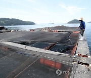 보령시, '고수온 경보' 천수만 가두리 양식장 현장 점검