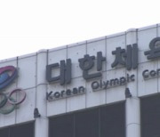 [단독]IOC 선수위원 6파전…오진혁·김소영도 도전