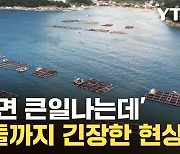 [자막뉴스] 겁에 질린 어민들...'떼죽음' 위기 나타난 바다