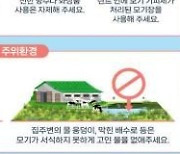 여주시 일본뇌염 전파 '작은빨간집모기' 경보 발령