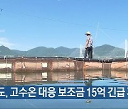 전남도, 고수온 대응 보조금 15억 긴급 지원