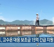 전남도, 고수온 대응 보조금 15억 긴급 지원