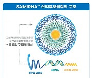 바이오니아 자회사 써나젠, 폐섬유증藥 호주 1상 계획 승인