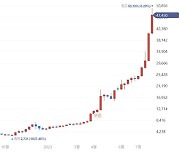 "이차전지 테마였네"…3000원짜리 주식이 1년만에 5만원?