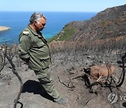 TUNISIA FOREST FIRES