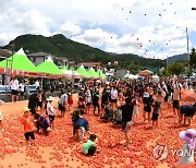 화천토마토축제 '황금반지를 찾아라'