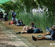 [단독]“조기퇴영 막자” 지자체 안간 힘…임실군수와 특별한 인연에 벨기에 잔류 결정