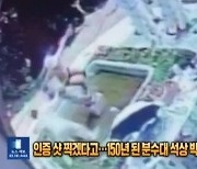 "인증샷 찍겠다"..150년 된 조각상 박살내고 도망간 獨관광객