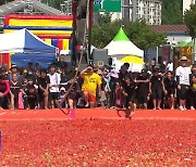 화천 토마토 축제 개막…“붉은 토마토 속으로”