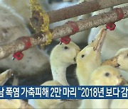 전남 폭염 가축피해 2만 마리 “2018년 보다 감소”