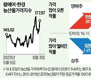 폭염에 사과값 12% 올라