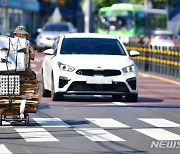 뙤약볕 피해 이른 아침 폐지 수거