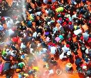 화천토마토축제 '황금반지를 찾아라'