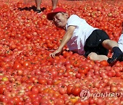 화천토마토축제가 좋은 화천군수