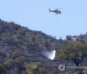 SPAIN FOREST FIRE