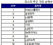 코스피 주간 개인 순매수 1위 'POSCO홀딩스'