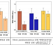 진도 해안서 찾은 바이러스 활용 기술, 양식장 항생제 대체한다