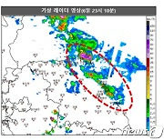 '고성 대진 196㎜' 강원 영동 북부 강한 비… 주택·도로 등 침수(종합)