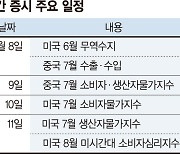 국내 테마주發 급등락 주의보 美 7월 물가지표 결과도 변수[주간 증시 전망]