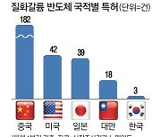 182 대 3…차세대반도체 전쟁 넋놓은 韓