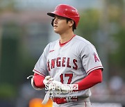 오타니는 역대 최고 시즌을 보내고 있나…MLB.com 통계전문가 "오래전 베이브 루스 넘었다"