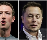 Musk Zuckerberg Fight