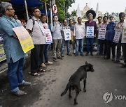 India Hiroshima Anniversary