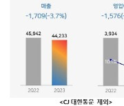 CJ제일제당, 2분기 영업익 2358억원…전년比 40.1%↓