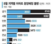 8월 한달간 3만가구 쏟아진다… 송파·동대문 재건축 물량도