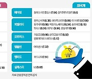 솔브레인·매커스·HL홀딩스…큰손들은 더 샀다