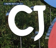 '유증에 알짜회사 매각' 고군분투에도..힘이 부치는 CJ