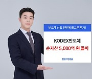 “올해 53% 수익률” 삼전 없는 반도체 ETF에 자금 몰렸다