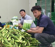 충북 괴산농협, 옥수수 계약재배사업으로 농가소득 증대 기여