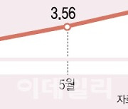 7% 코앞…슬금슬금 우상향하는 주담대 금리