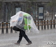 [오늘의 날씨]울산(8일, 화)…폭염 지속, 돌풍동반 소나기 주의