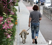 울산 남구, 동물등록 자진신고 기간 운영…내장형 등록 시 2만원 지원