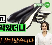 가지, 요리법 따라 효능도 여러 가지![정세연의 음식처방]