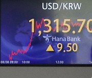 원·달러 환율 1315.7원.."중국 위안화 약세에 39일만에 최고치"