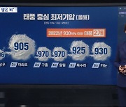 더 오래 살고 더 강해졌다. 0.6% 확률 뚫은 독한 태풍