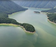 '수도권 젖줄' 소양호 상류 녹조 발생에 원주환경청 총력 대응 나서