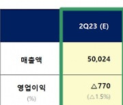 롯데케미칼 5분기 연속 적자...2분기 영업손실 770억원