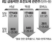 오전에 떴던 초전도체 테마株, 오후에 '와르르'